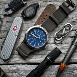 Blue-Watch-Monday-Timex-Expedition-=Scout-43mm