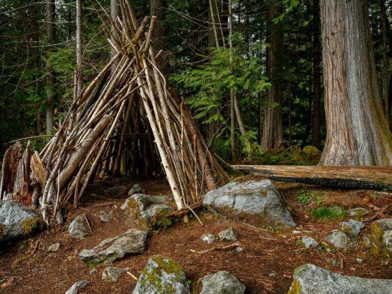 What is the Difference Between Bushcraft and Survival?